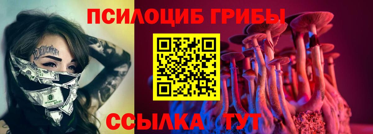 Псилоцибиновые грибы прущие грибы Сергиев Посад
