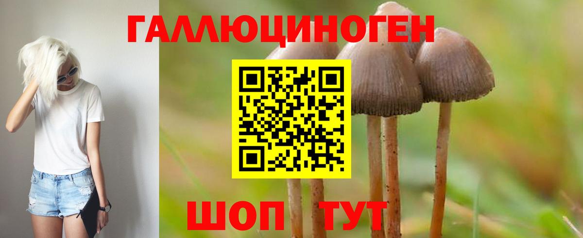 Сергиев Посад  Галлюциногенные грибы прущие грибы  Вход с VPN 